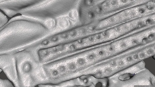 Detail povrchu medailonu