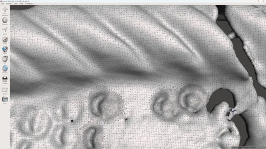 Detail polygonální sítě medailonu