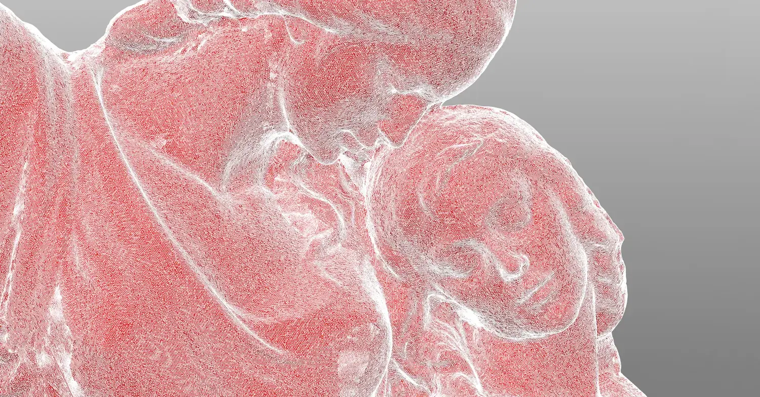 3D sken sochy — polygonová síť