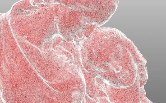 3D sken sochy – polygonová síť