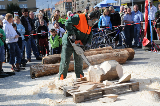 Předváděčka řezby motorovou pilou