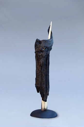 DUCH, subfosilní dub, brslen