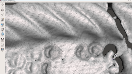 Detail polygonální sítě medailonu