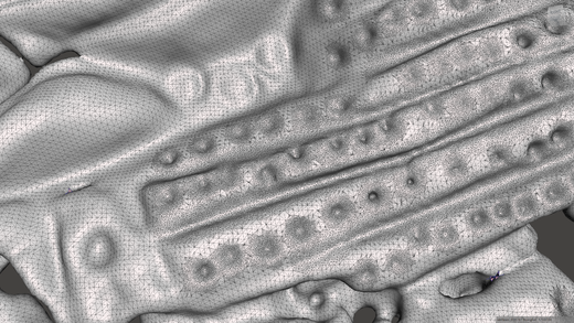 Detail povrchu madailonu