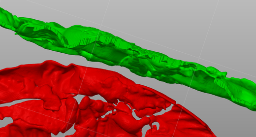 Řez medailonem sokolníka